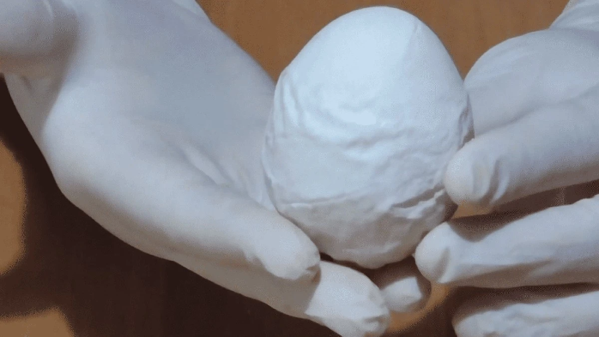 Las gallinas ponían huevos blandos sin cáscara hasta que un veterinario reveló 3 causas: ¡y la solución es simple!