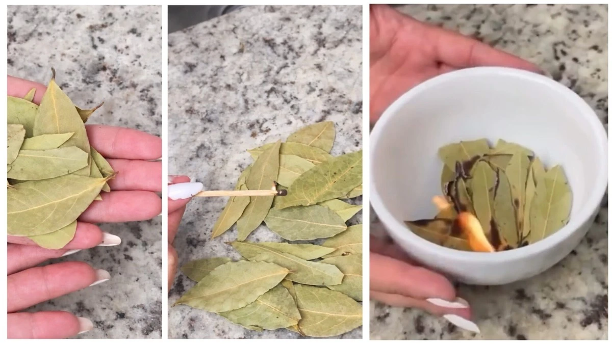 Cambia tu vida en marzo: 4 días clave para quemar laurel y atraer prosperidad