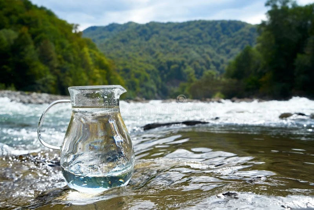 4 trucos caseros para dejar tus jarras de agua impecables sin esfuerzo - image 1