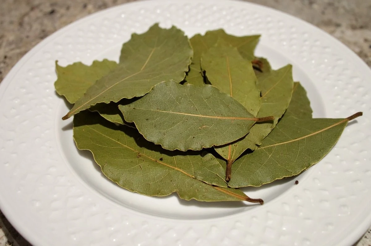 Por qué tus platos no huelen a restaurante: el error de almacenamiento de laurel que todos cometen