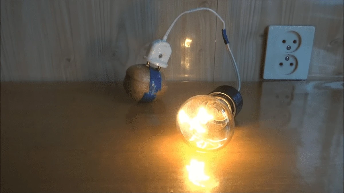 Por qué los jardineros experimentados ponen una cebolla en su maceta