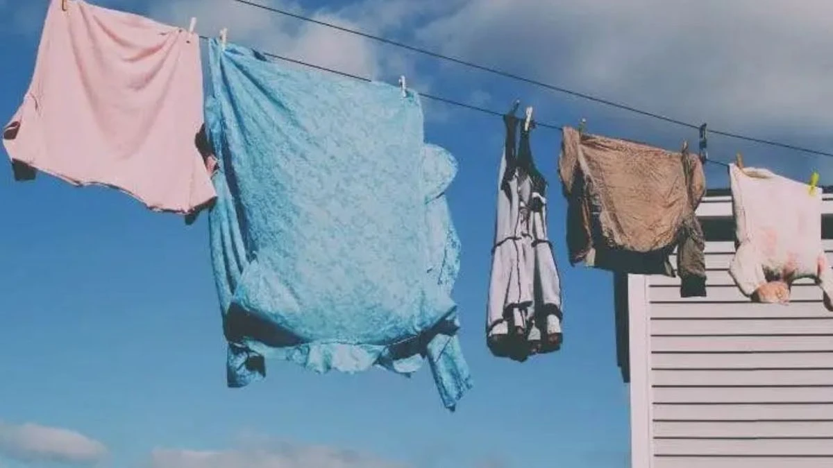 Ropa descolorida: el truco casero para revivir su color por centavos - image 1