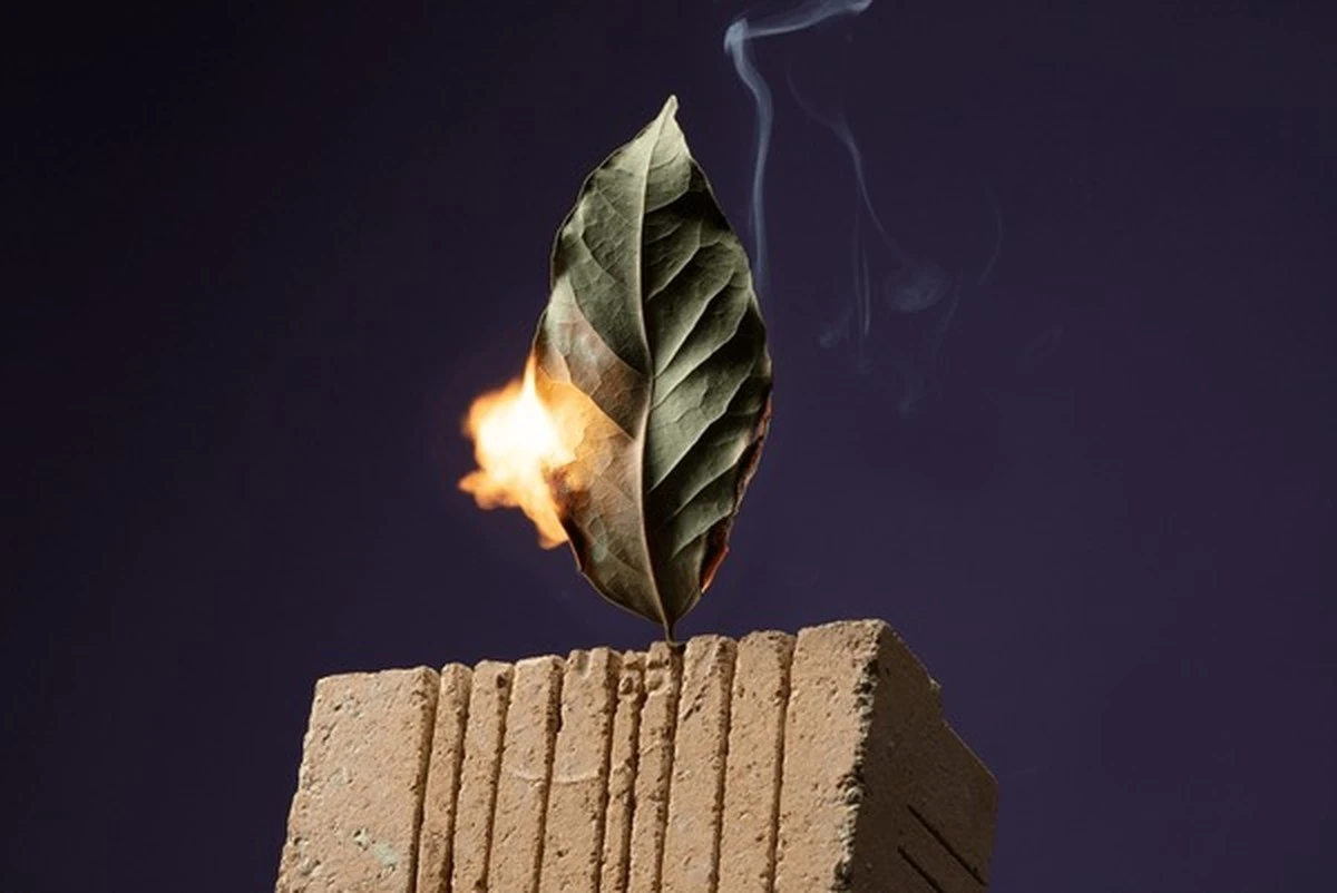 El secreto de la abuela: enciende 2 hojas de laurel y soluciona varios problemas a la vez - image 1