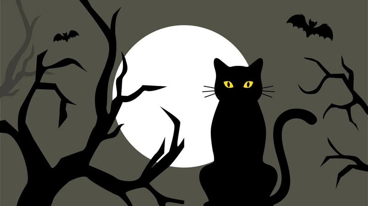 El rincón de la mesa, la sal y el gato negro: ¿tradiciones o miedos justificados? La verdad detrás de los 