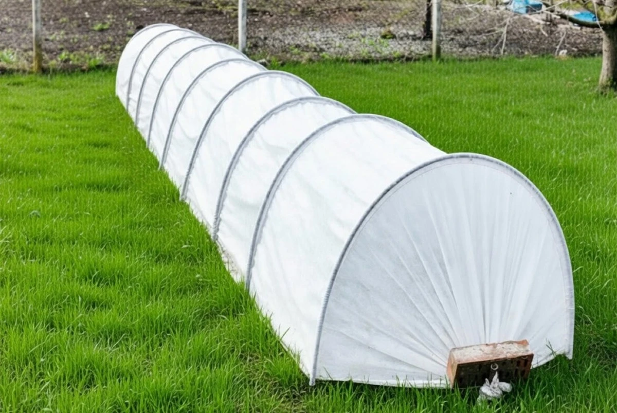 Plástico, vidrio o tela agrícola: el secreto principal para una cosecha ideal bajo techo