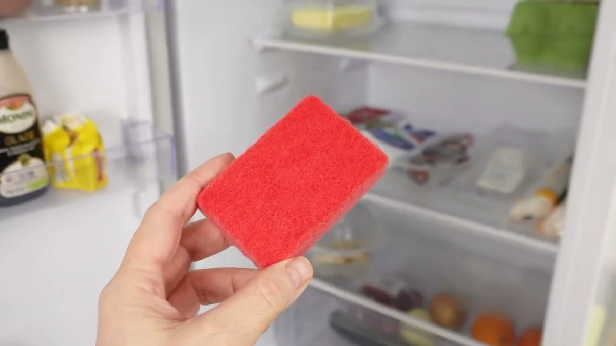 La esponja en el refrigerador: el truco de mi suegra que ahora aplico - image 1