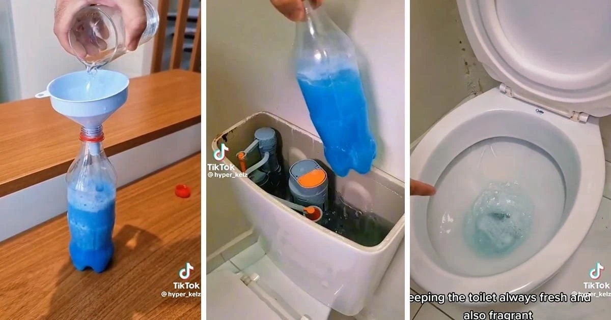 Mi inodoro lleva 32 años impecable: el truco secreto de mi abuela para un blanco radiante - image 1