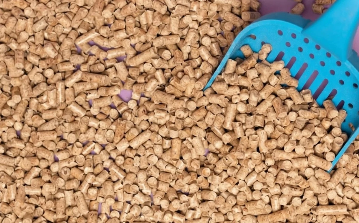 3 métodos infalibles para eliminar el olor a gasolina en minutos