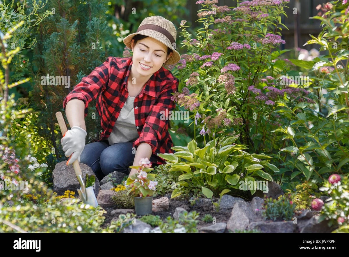 Por qué los jardineros experimentados ponen una cebolla en su maceta - image 1