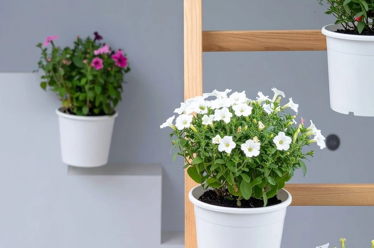 Cultiva en vertical: 5 ideas geniales para un huerto bonito y económico