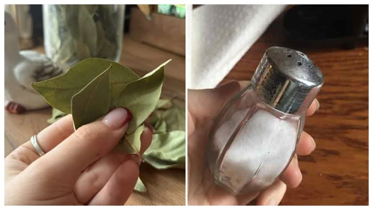 Laurel leaf, not 'gourmet' salt: the secret that made my husband kiss my hands