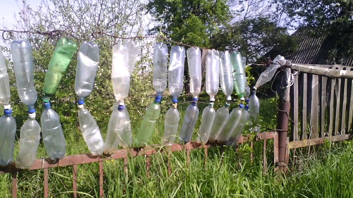Por qué tu vecino cuelga botellas de agua en la valla y cómo esto te salvará el verano