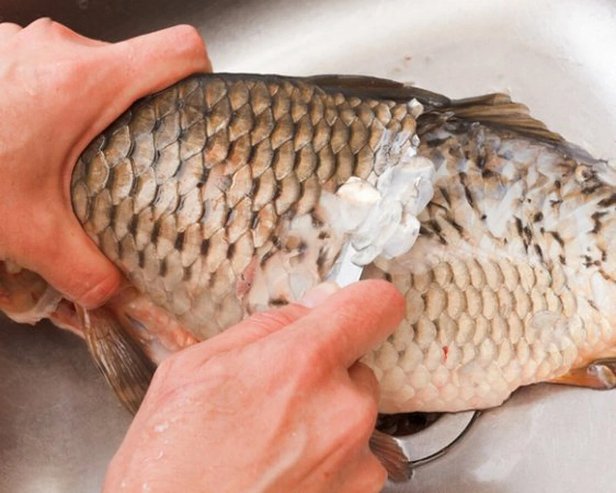 Un truco de cocina: el secreto para no perder el agarre al limpiar pescado - image 1