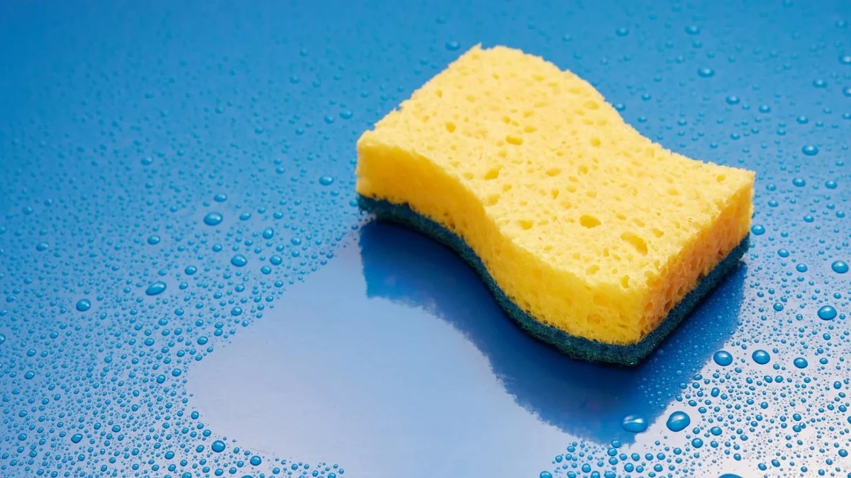 eltrucoparadesi-extra-1.webp El truco para desinfectar tu esponja de cocina: la microondas las limpia al instante - image 1