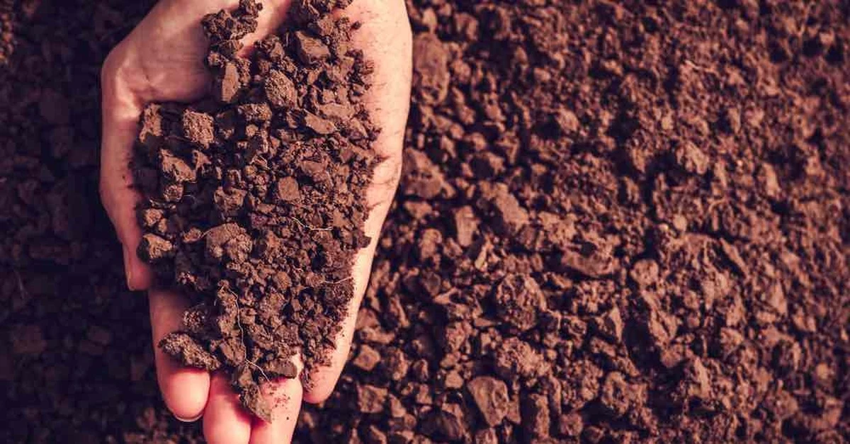 Seis pasos para duplicar tu cosecha: restaura la tierra agotada de tu huerto - image 1