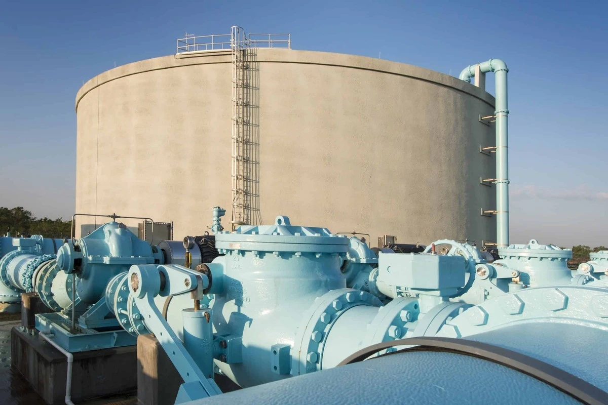 Una moneda de plata o carbón activado: el truco secreto para conservar agua potable meses - image 1
