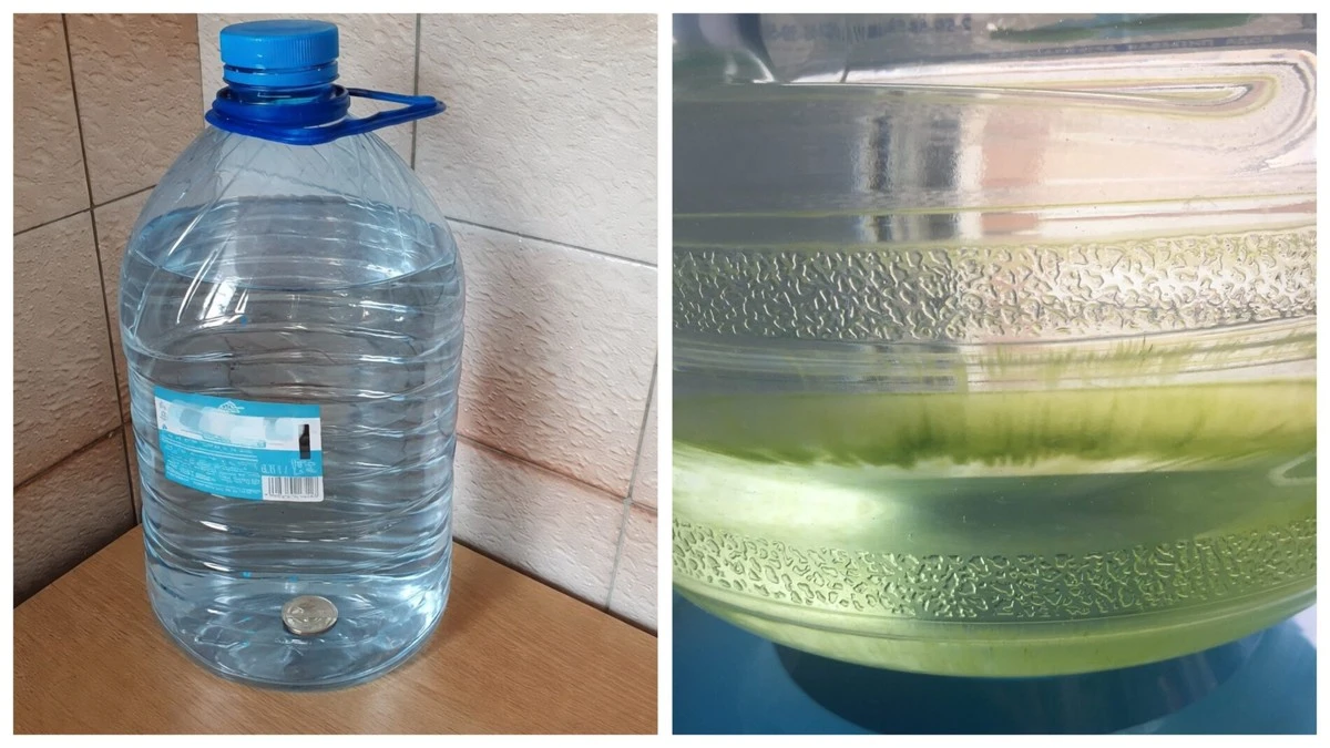 Una moneda de plata o carbón activado: el truco secreto para conservar agua potable meses