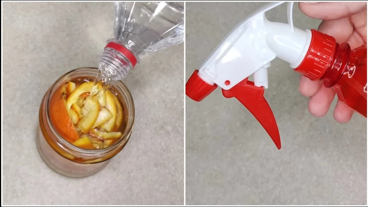 Adiós a los limpiadores químicos: el secreto de los cáscaras de mandarina y el vinagre