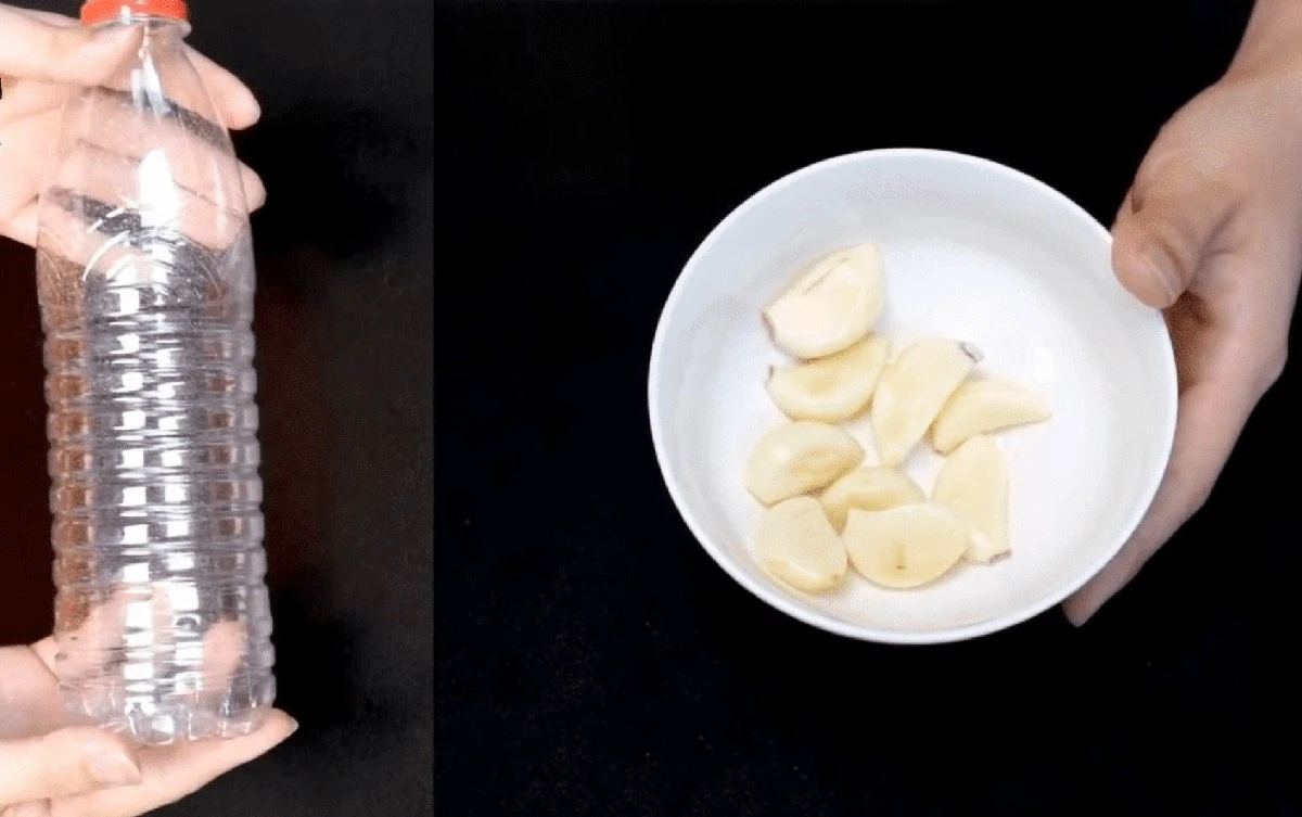 El truco de la botella de plástico para pelar y picar ajo en 1 minuto sin rallador