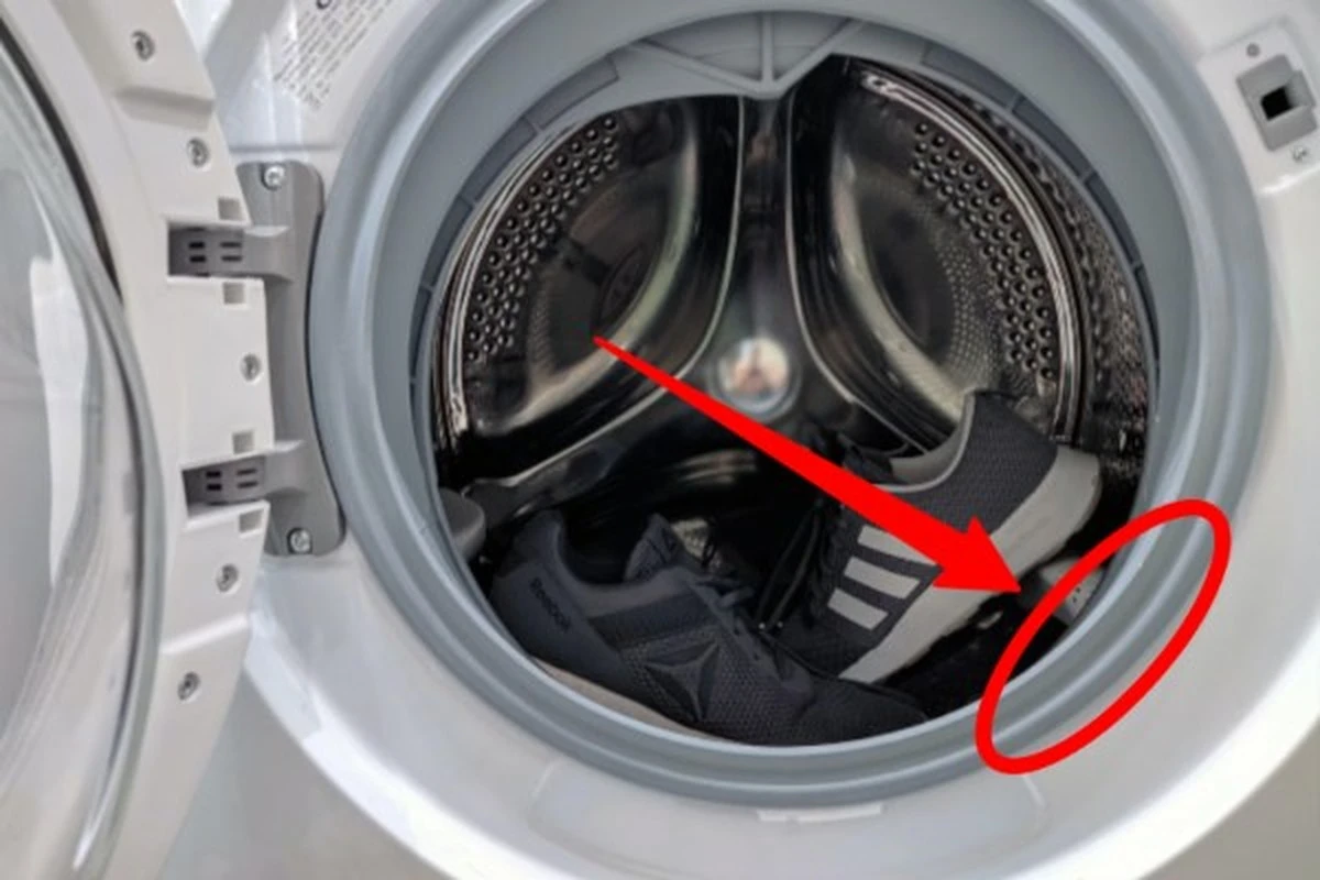 La lavadora huele a pantano, pero solo tiene 5 años: el problema estaba donde menos esperabas - image 1