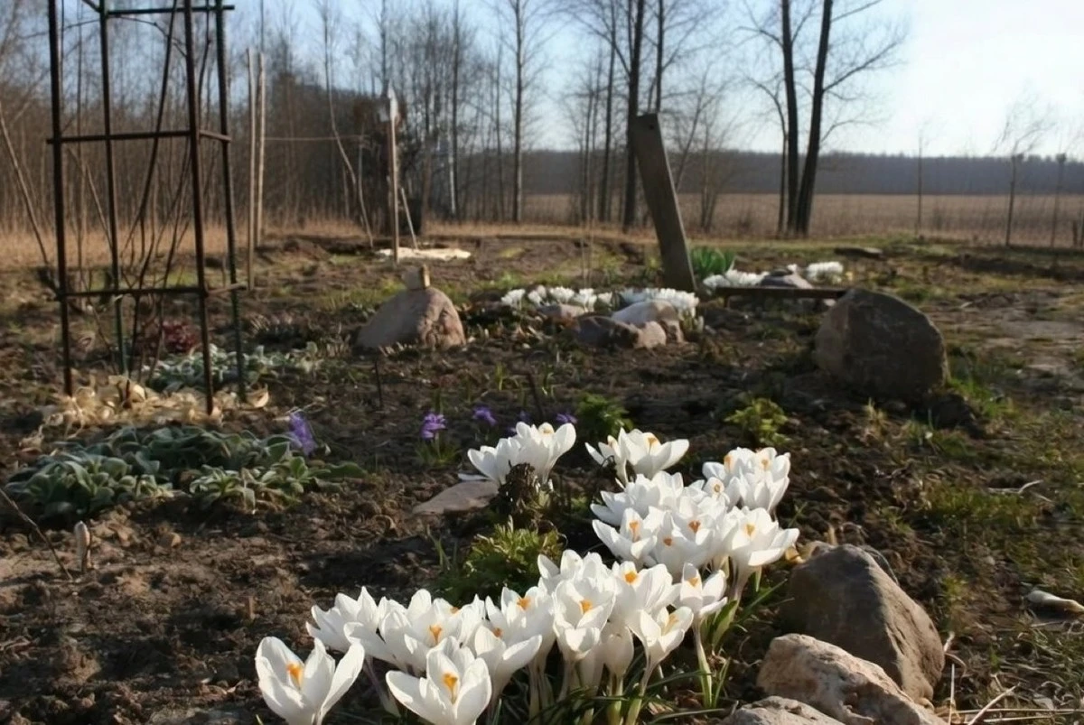 Tres trucos de jardineros expertos para preparar tu parcela de verano antes que nadie