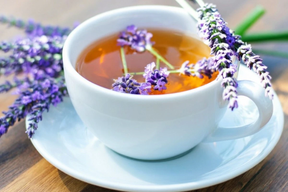 Este té nocturno de salvia reemplaza el somnífero: una receta natural para un sueño reparador