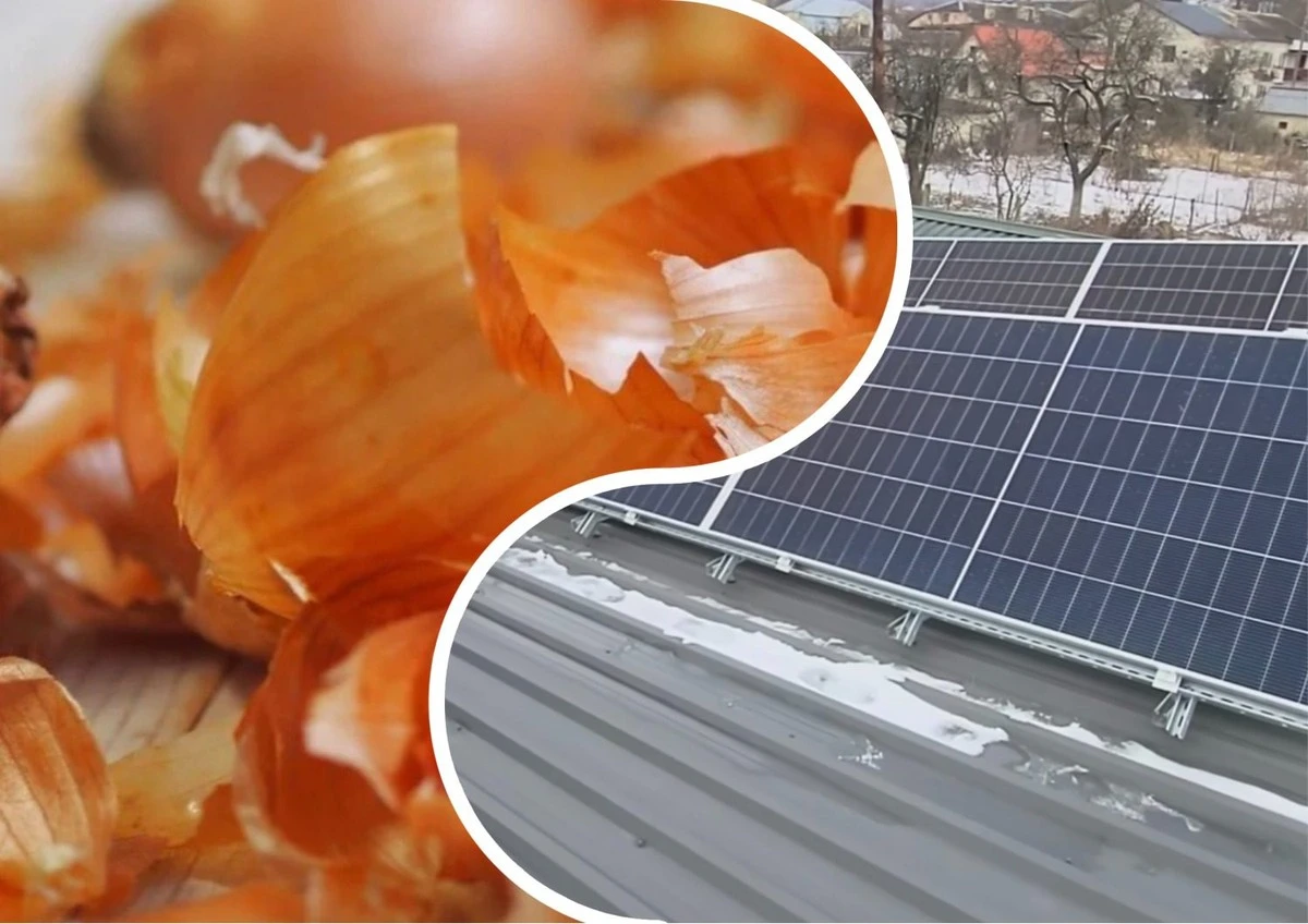 Cascarones de cebolla: el secreto poco conocido para proteger tus paneles solares del calor