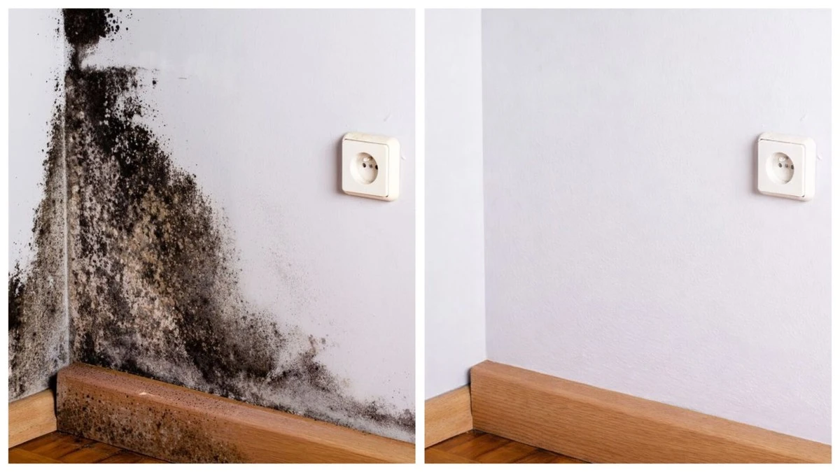 Adiós al moho negro detrás de los muebles: ¡la solución casera que funciona!