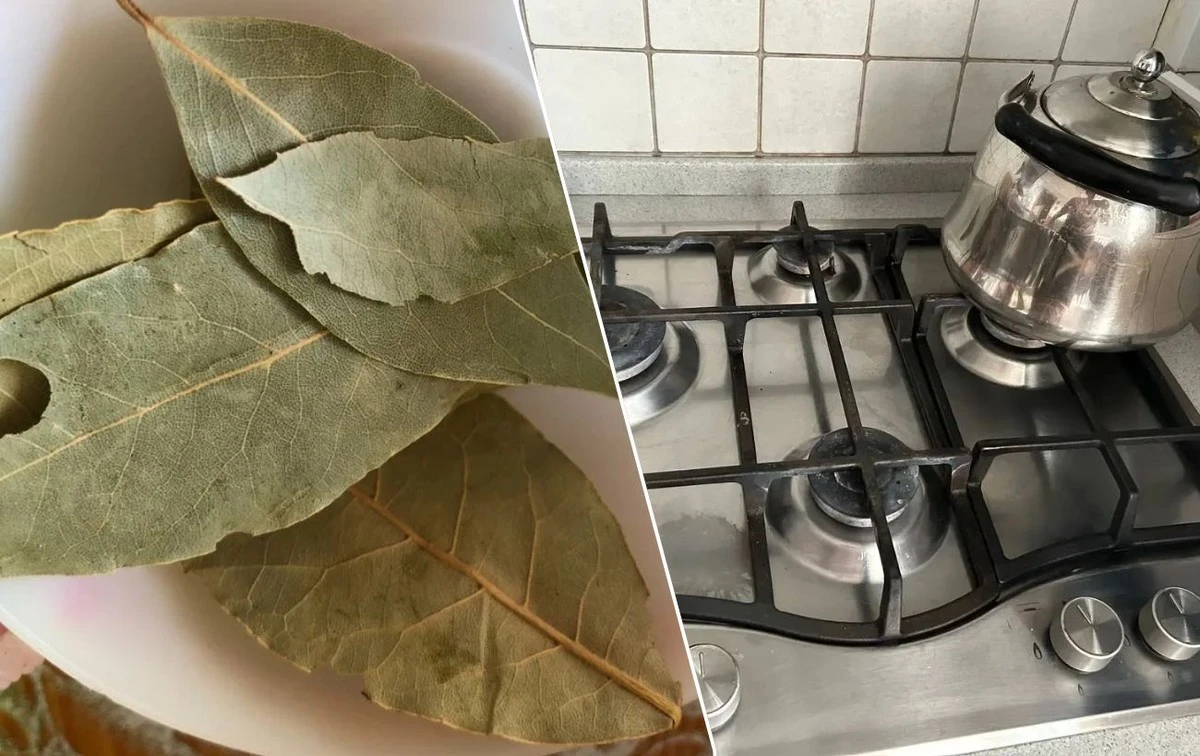Este truco con laurel cambia el olor de tu cocina en minutos: no quería creerlo