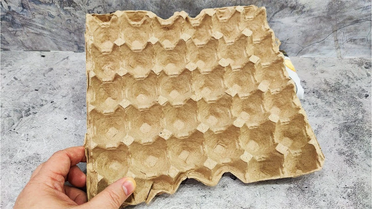 Un truco infalible: Guarda las cajas de huevos de esta manera para sorprender a todos