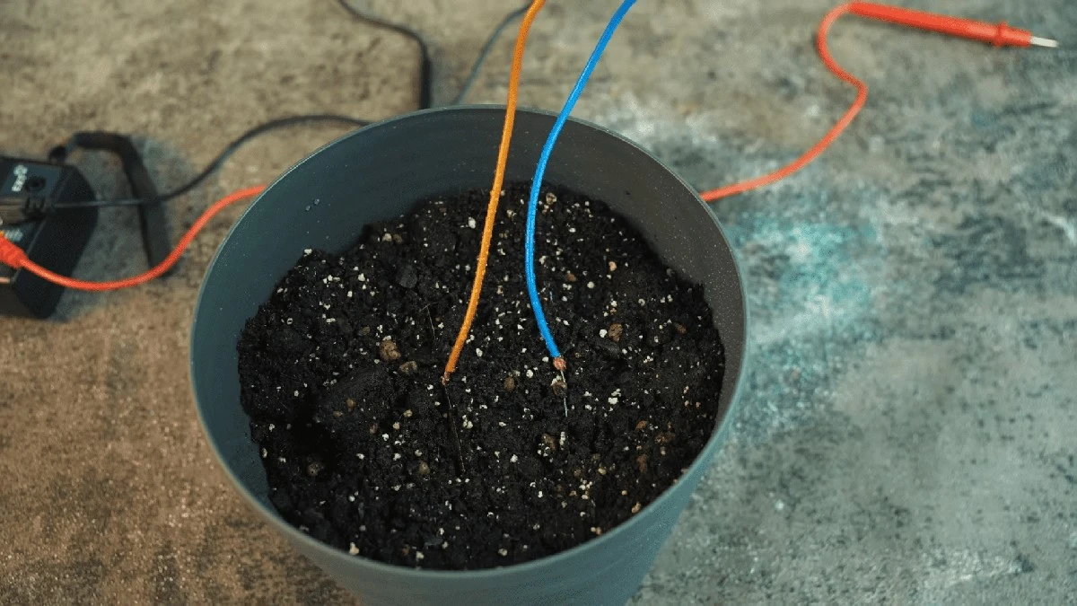 5 placas enterradas: el sorprendente secreto para generar 7 voltios de electricidad desde tu jardín