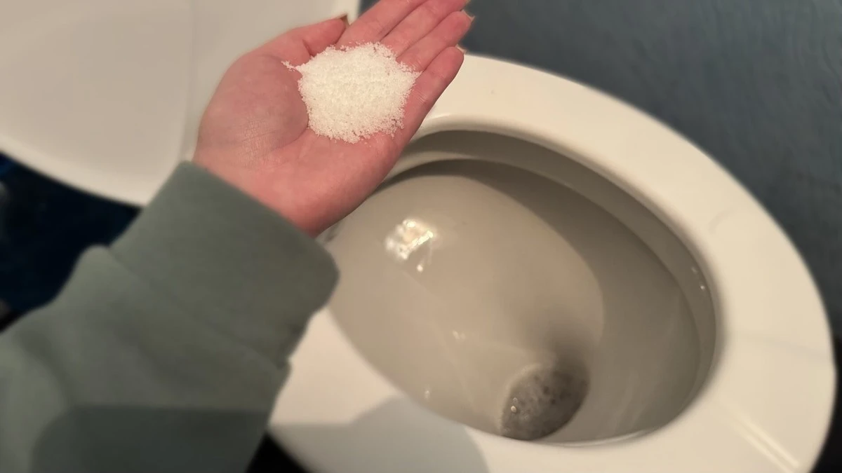 La abuela siempre "echa sal" así en el inodoro: 2 razones que un plomero local aplaudió