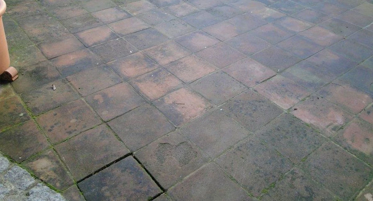 adiosalmohobajo-extra-1.webp Adiós al moho bajo el linóleo: soluciones sencillas para prevenirlo sin llamar a un técnico - image 1