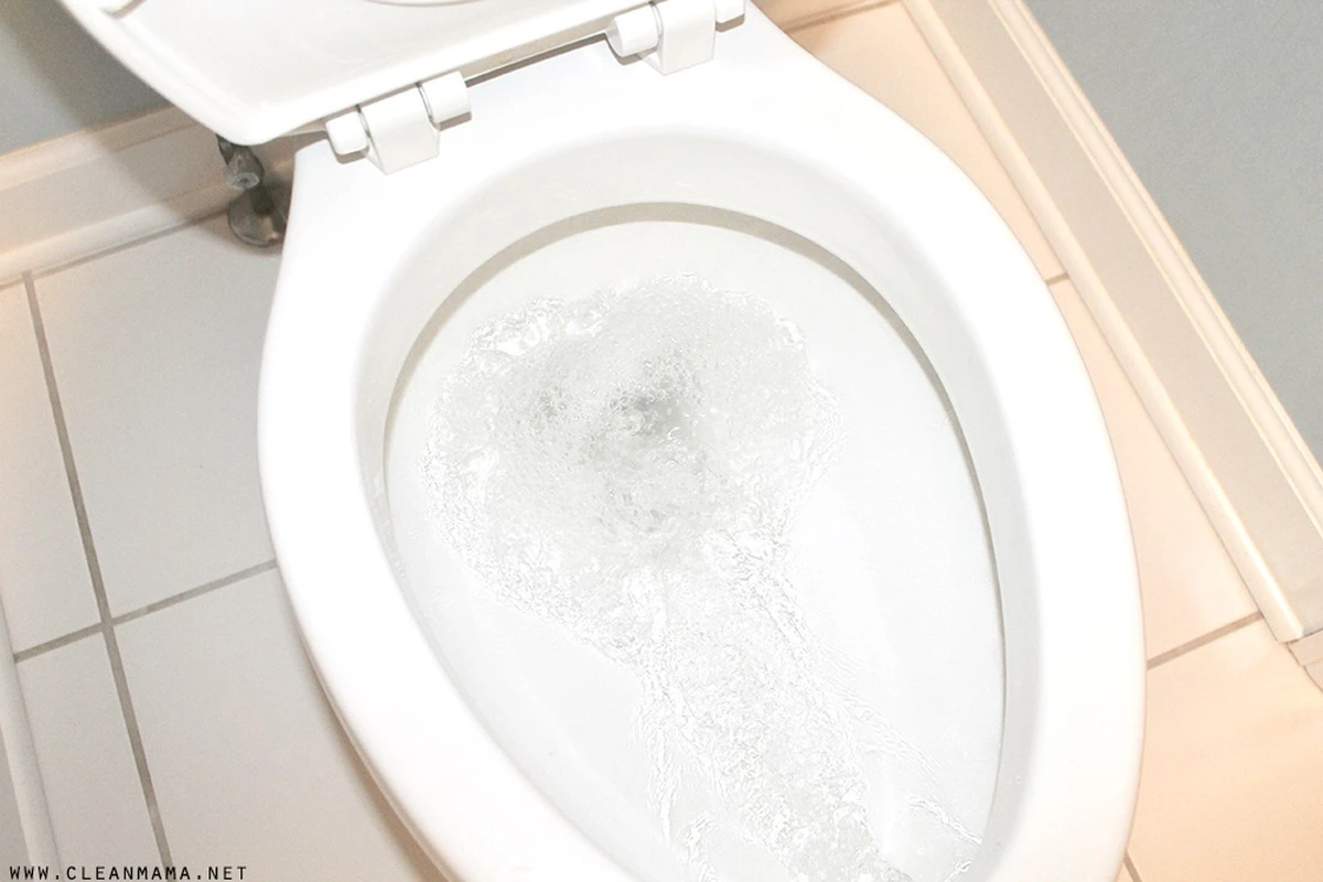 eltrucodelas2cu-extra-1.webp El truco de las 2 cucharadas que deja el inodoro impecable en 60 minutos - image 1