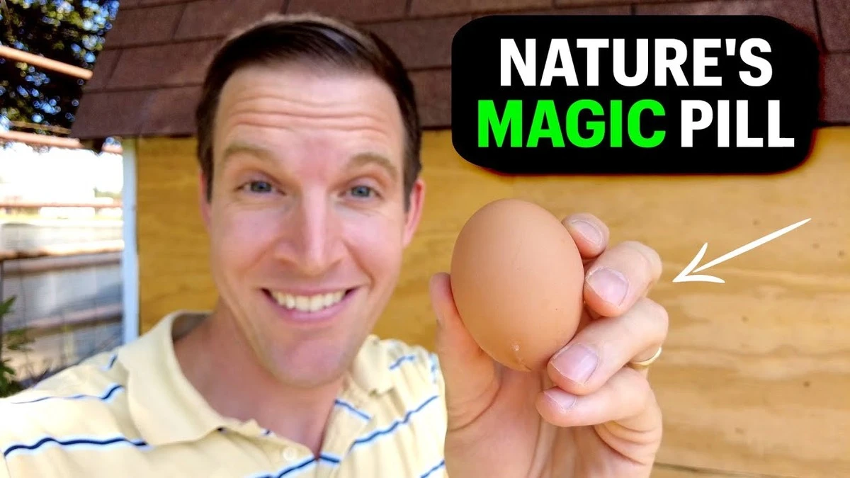 Por qué comer un huevo antes de dormir cambia tu cuerpo: el sorprendente desenlace - image 1