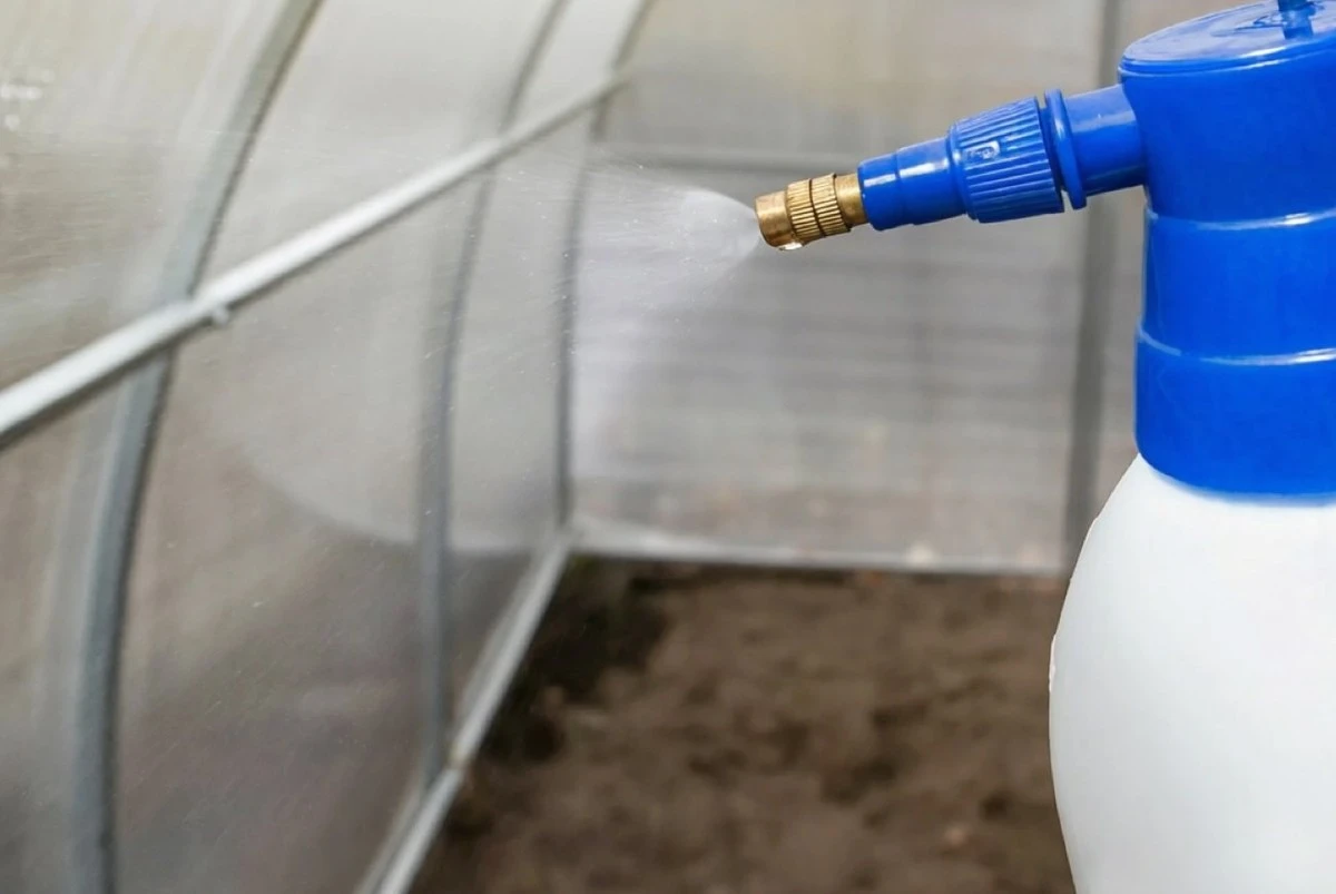 Desinfecta tu invernadero al 100% con solo dos ingredientes caseros