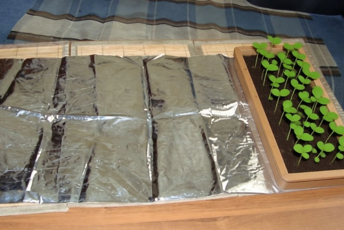 Papel de aluminio: el truco infalible para lanzar tu propio huerto sin gastar un céntimo