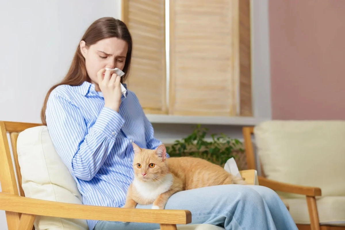 Adiós a los estornudos: el aparato que revoluciona la vida de los dueños de mascotas