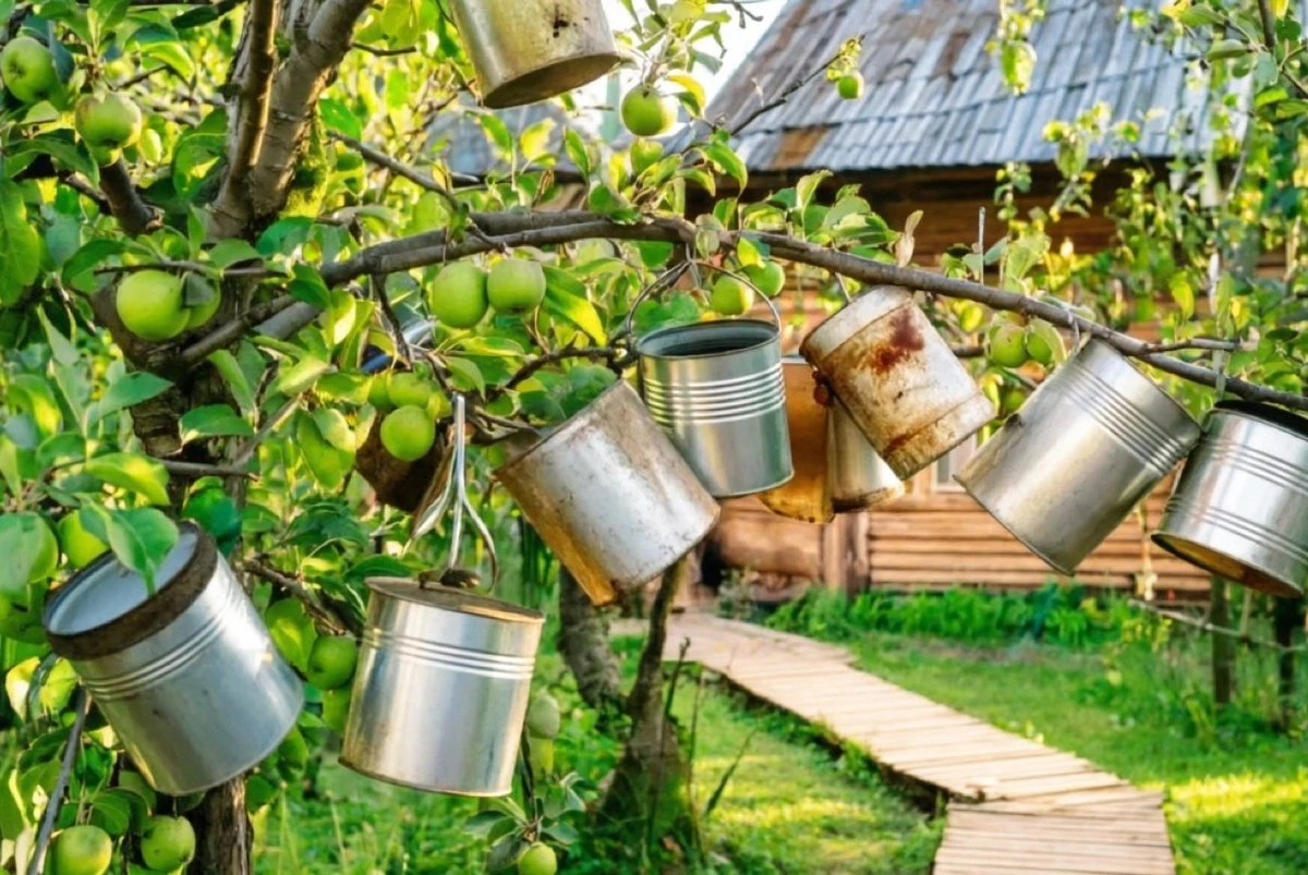 Por qué los jardineros expertos cuelgan latas de metal en sus huertos: el truco sencillo que funciona