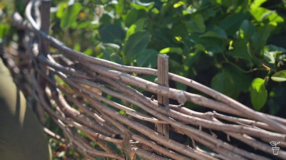 12 usos ingeniosos para las ramas tras la poda: transforma desechos en decoración y utilidad para tu jardín - image 1