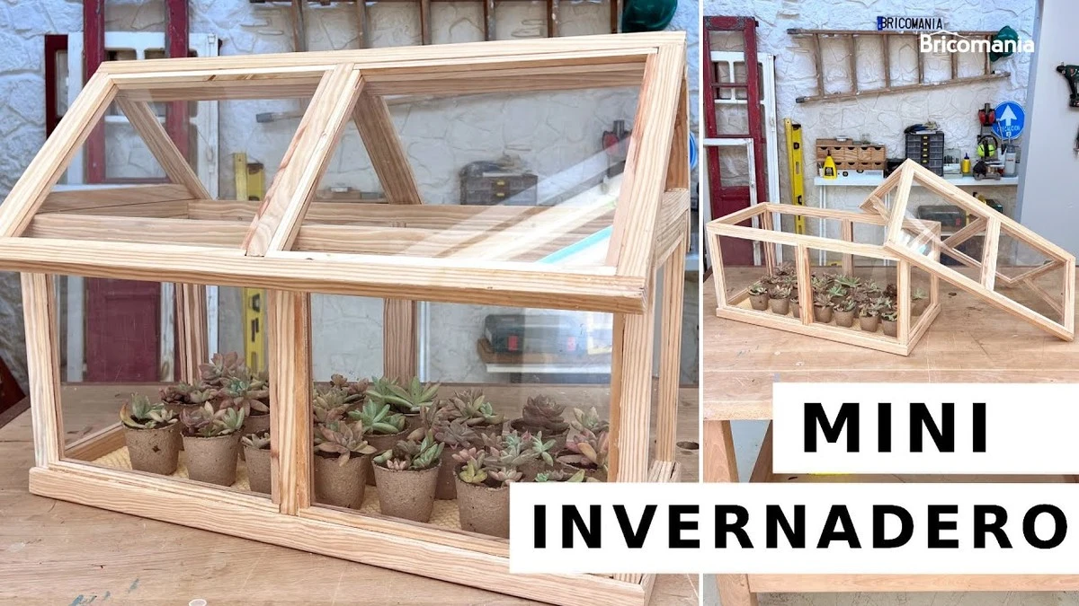 Por qué los jardineros conservan botellas de plástico vacías en el garaje. - image 1