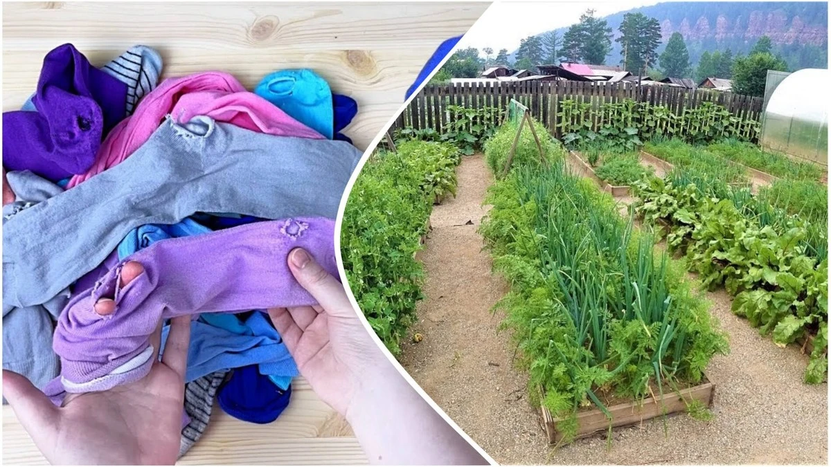 4 usos insólitos para tus calcetines viejos que te ahorrarán dinero y esfuerzo