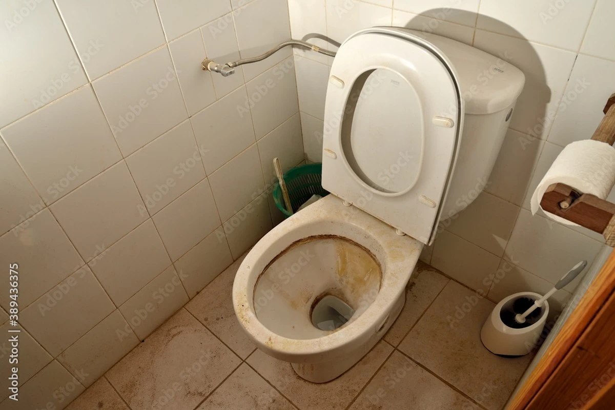 eltrucodelas2cu-extra-1.webp El truco de las 2 cucharadas: di adiós a la piedra de orina y a las manchas en tu inodoro en una noche - image 1