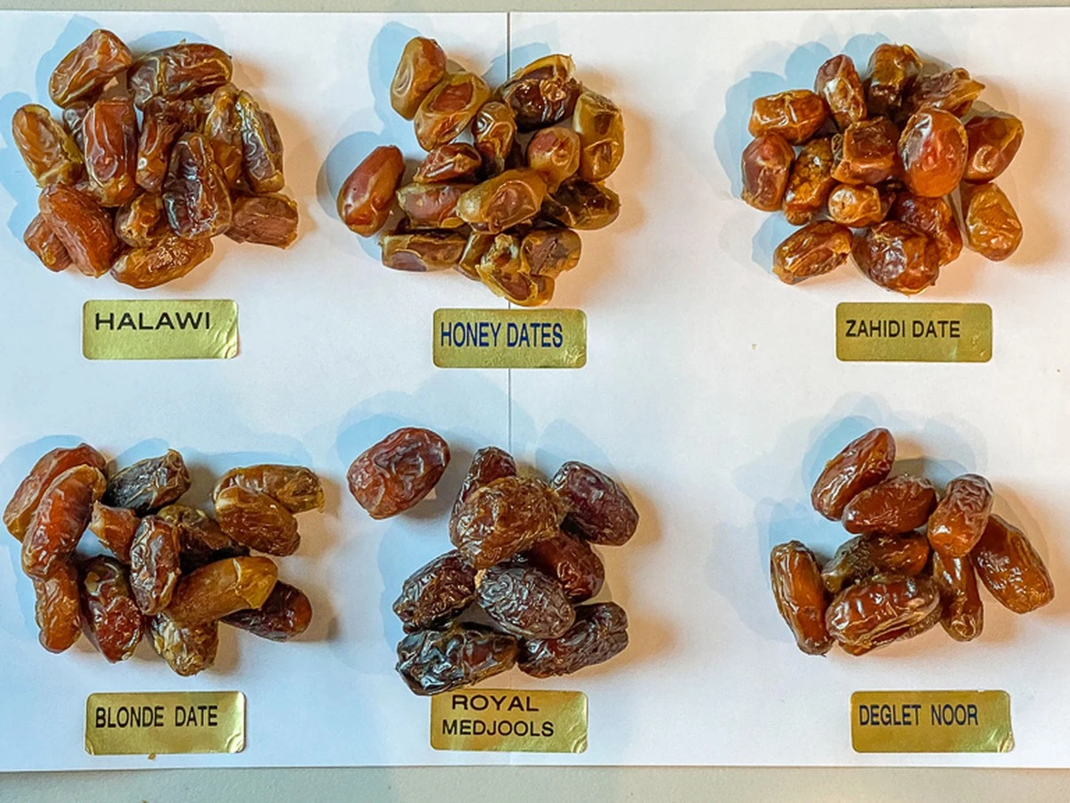 Por qué tu suegra odia los dátiles 