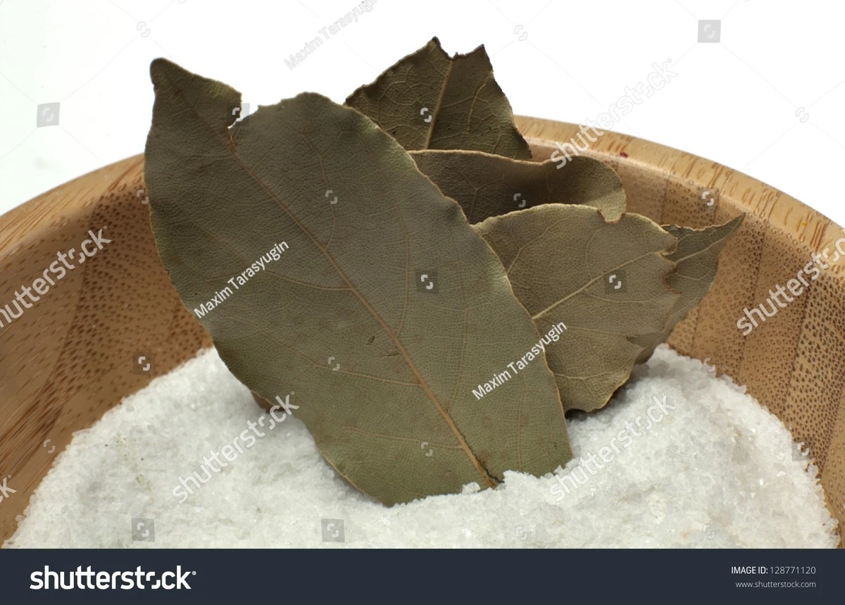 Reduce la condensación nocturna: esta solución casera mantiene tus ventanas como nuevas - image 1