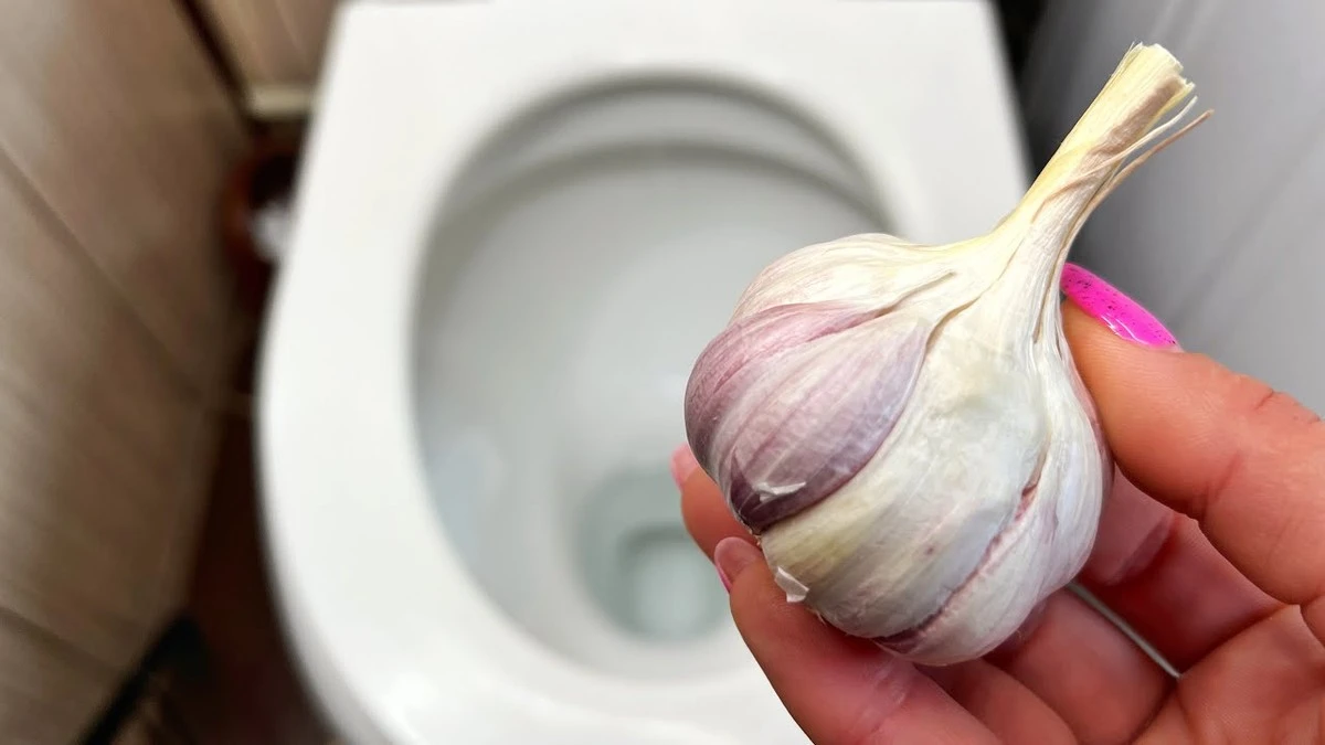 El secreto ancestral para un inodoro impecable: 3 dientes de ajo desatan un poder de limpieza que deja atrás los químicos caros - image 1