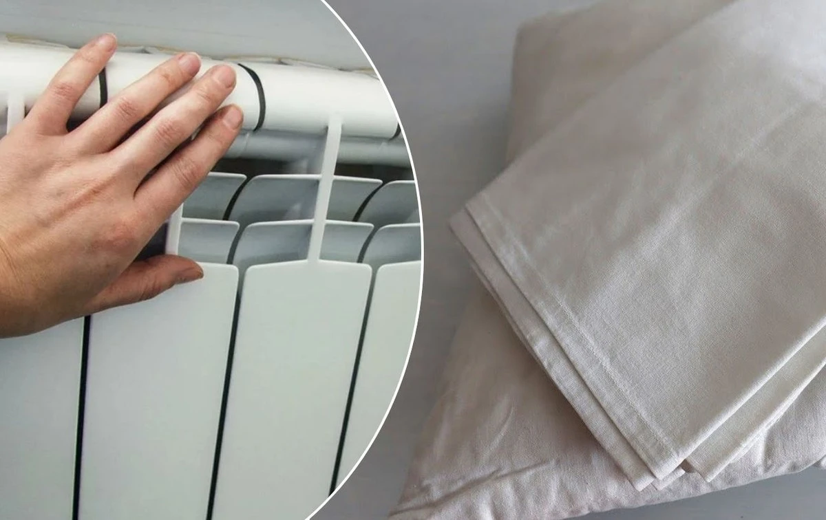 La sábila en tu ventana: la planta milagrosa que purifica tu hogar y calma tu alma