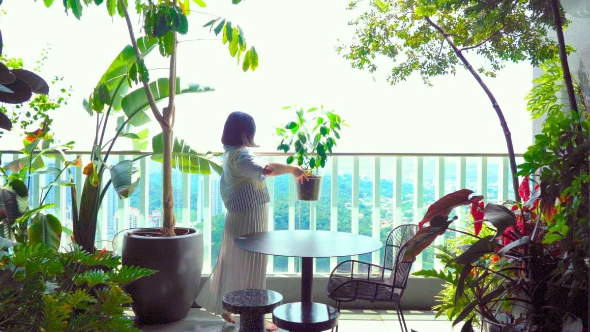 Protege tus tomateras y pimientos del calor extremo en el balcón: 3 trucos que funcionan - image 1