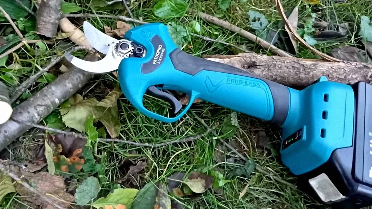 Tu viejo cortasetos oxidado como nuevo: Coca-Cola es la solución secreta de los jardineros