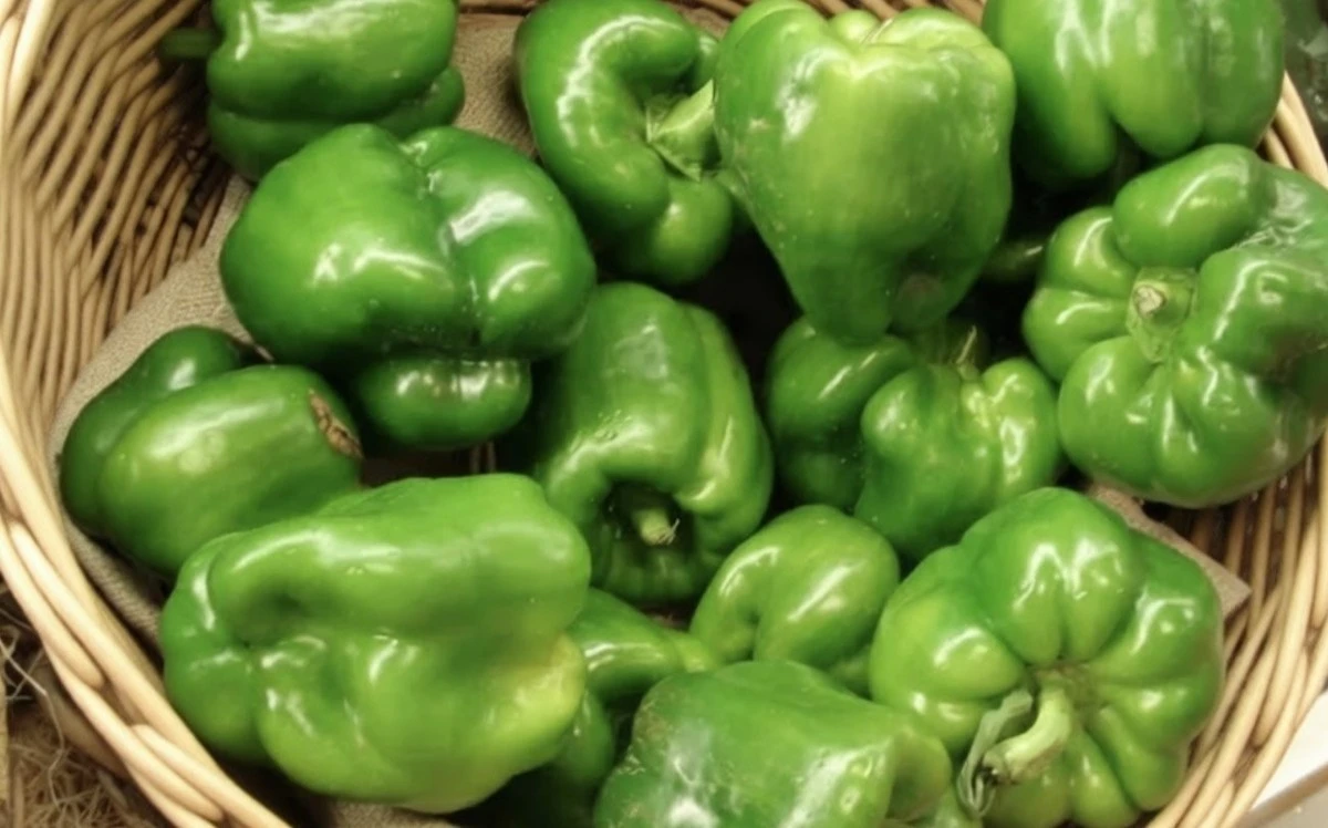 El pimiento verde: el desconocido superhéroe vegetal que tu cuerpo necesita urgentemente